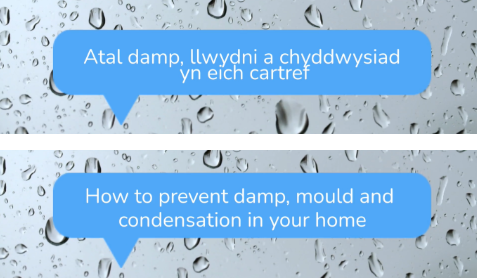 Graphic about 'how to prevent damp and mould in your home'