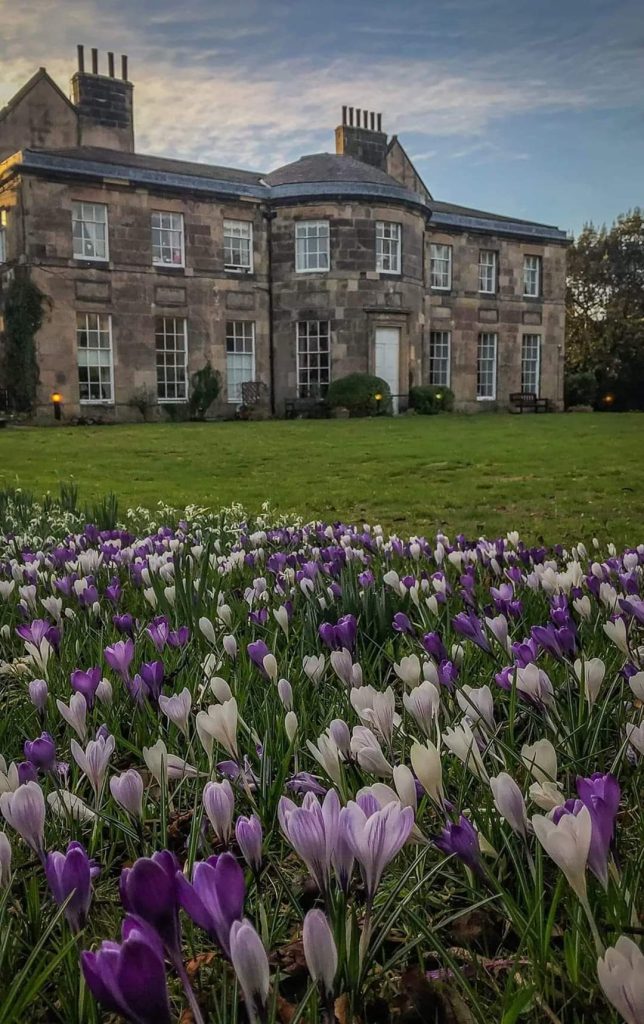 Picture of The Old Palace from the outside with purple tuplis growing in the garden